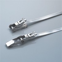 Stainless Steel Band Clamps